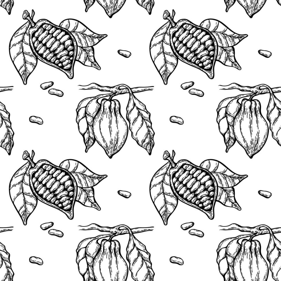 Seamless black and white pattern in hand-drawn doodle style, cocoa beans with leaves on a branch vector