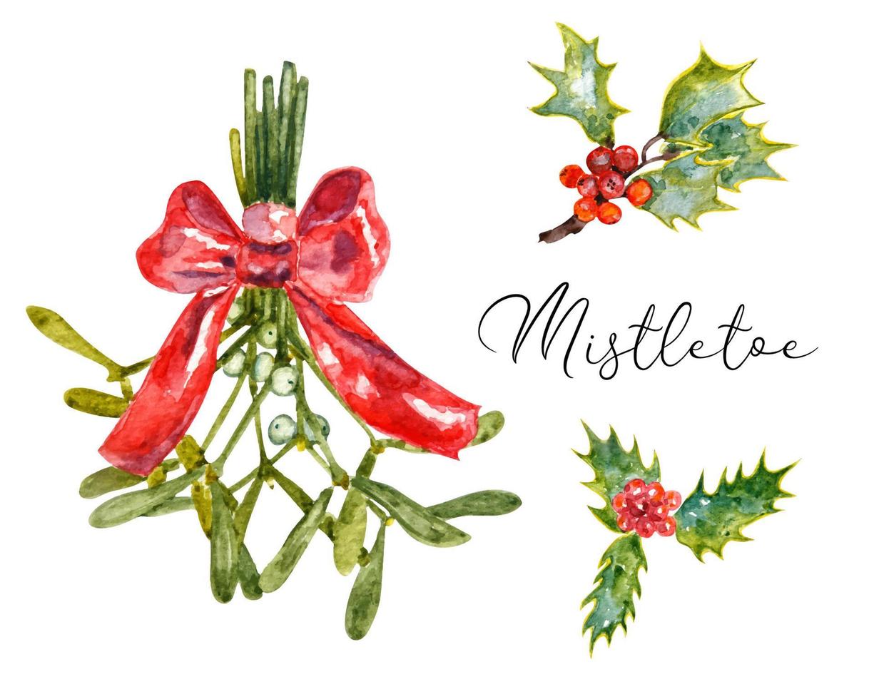 Watercolor set of red holly and white Christmas mistletoe. Vector set of Christmas mistletoe and holly suitable for Christmas cards and any Christmas decorations. White mistletoe with a red ribbon.