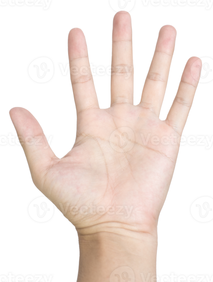 Hand making sign isolated png