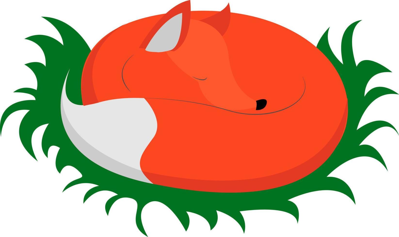 Sleeping fox, illustration, vector on white background.