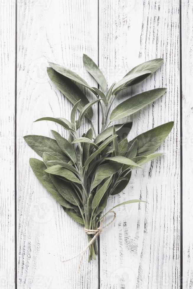 Fresh sage leaves on white wooden background, vertical flat lay, natural light photo