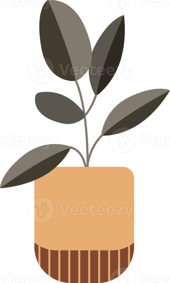 diseño plano de planta en maceta png