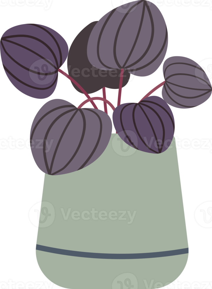 Potted Plant Flat Design png