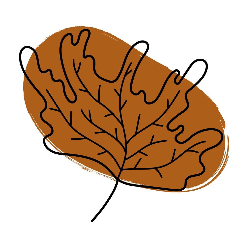 Hand drawn maple leaf with brush stroke vector illustration