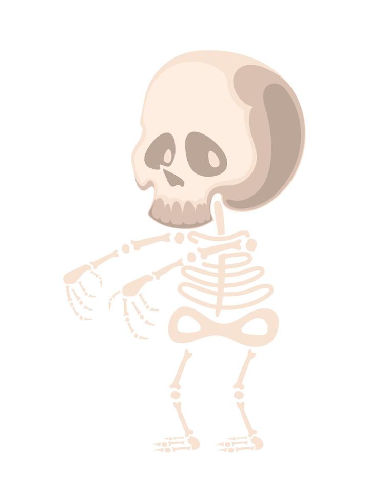 halloween skeleton character vector