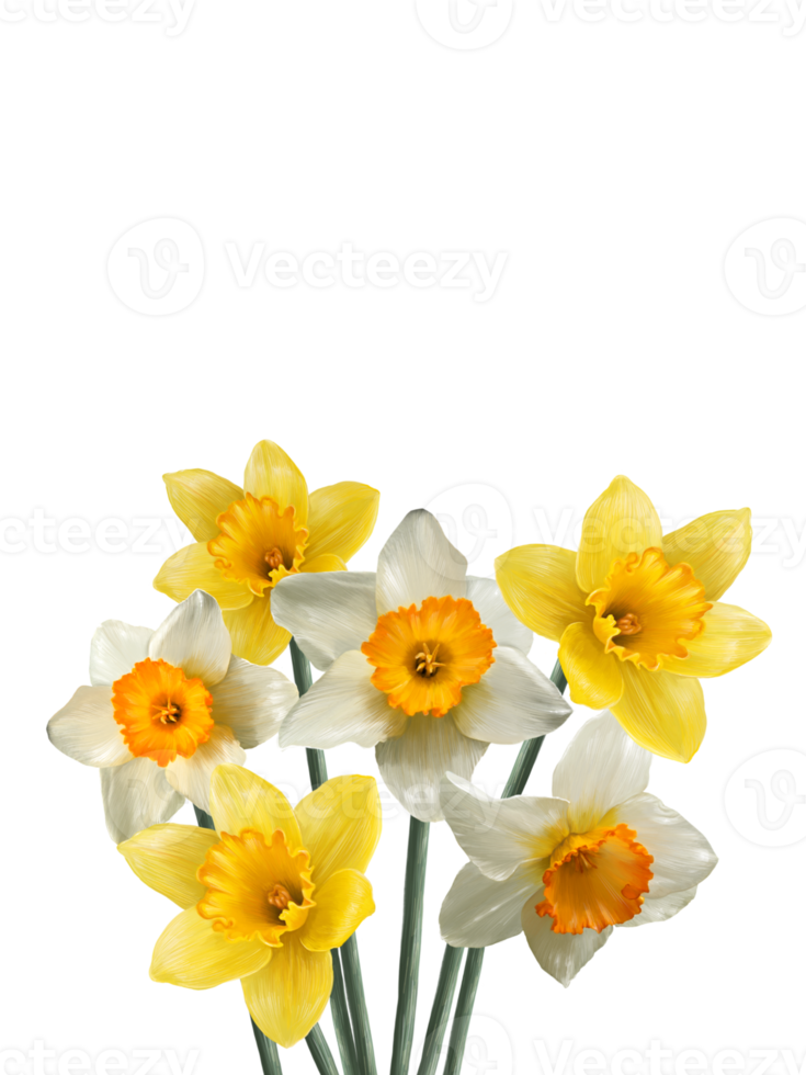 Free bouquet de fleurs de narcisse printemps fond d'écran 13796523 PNG with  Transparent Background