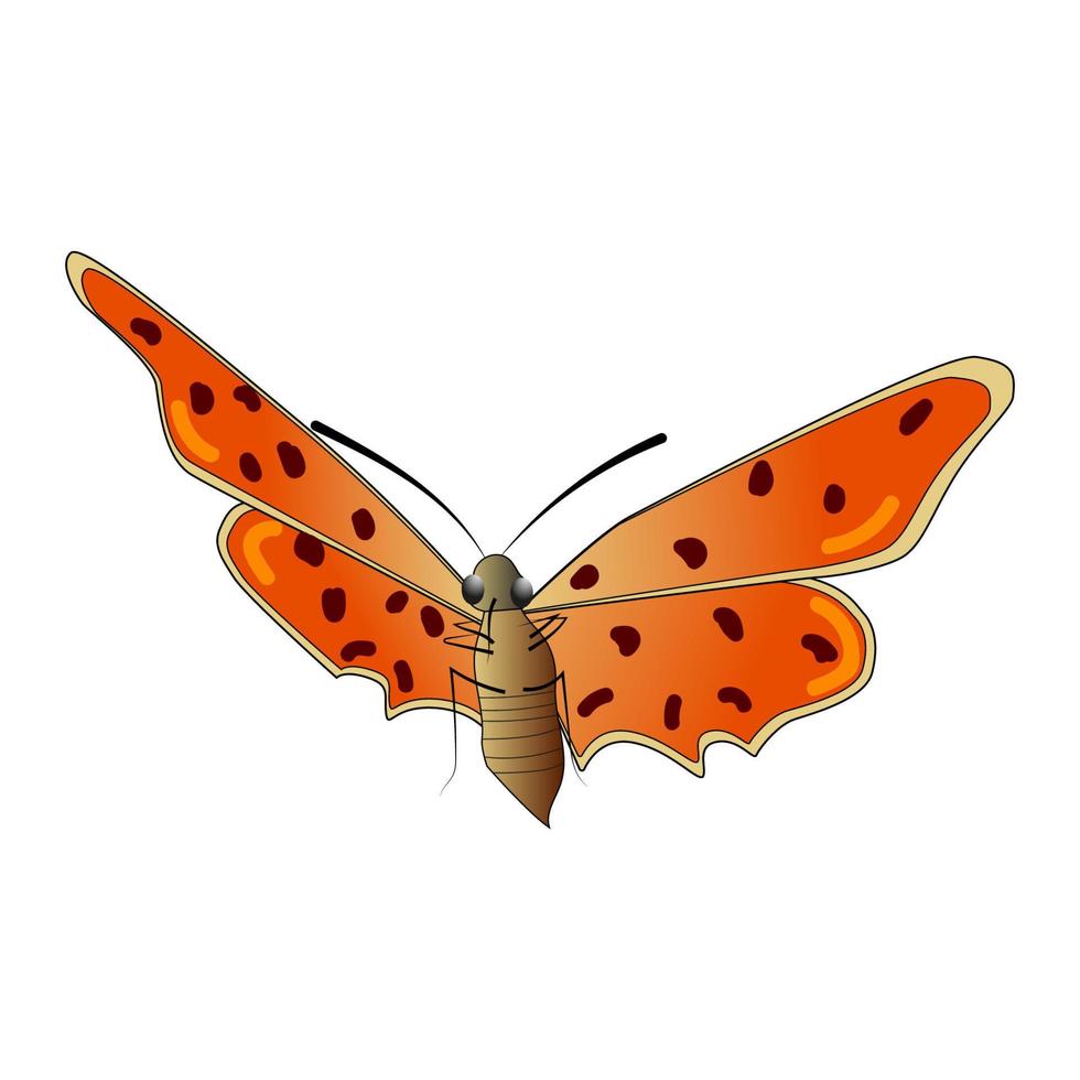 mariposa aislada en un fondo blanco. vista desde abajo. una mariposa multicolor con un patrón manchado en alas rojas. eps10 vectoriales. vector