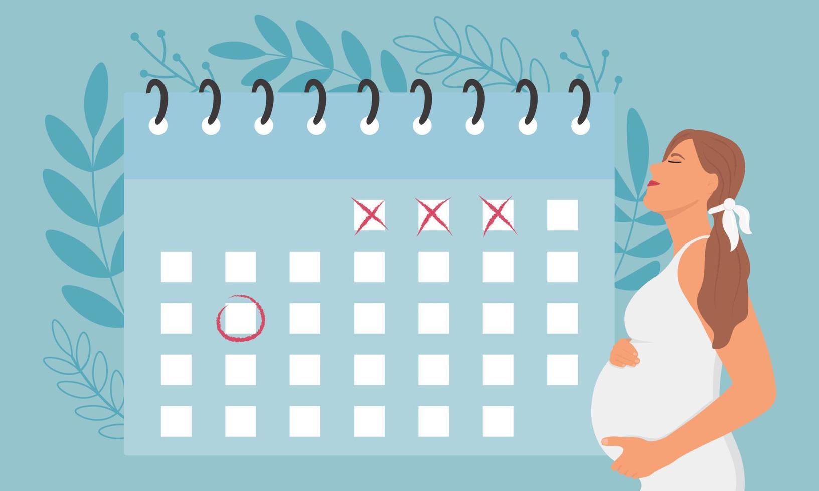 Happy pregnant woman holding her belly. Pregnant woman with calendar. The expectation of child. Vector illustration.