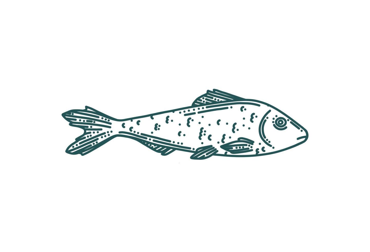 Fish in doodle style. Tuna fish isolated in white background. Vector illustration