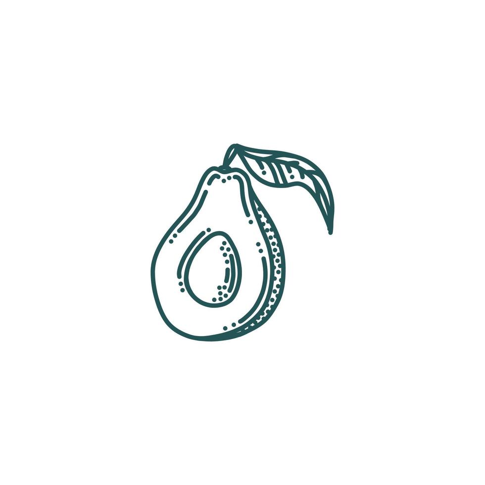 Avocado in doodle style. Half of avocado isolated in white background. Vector illustration