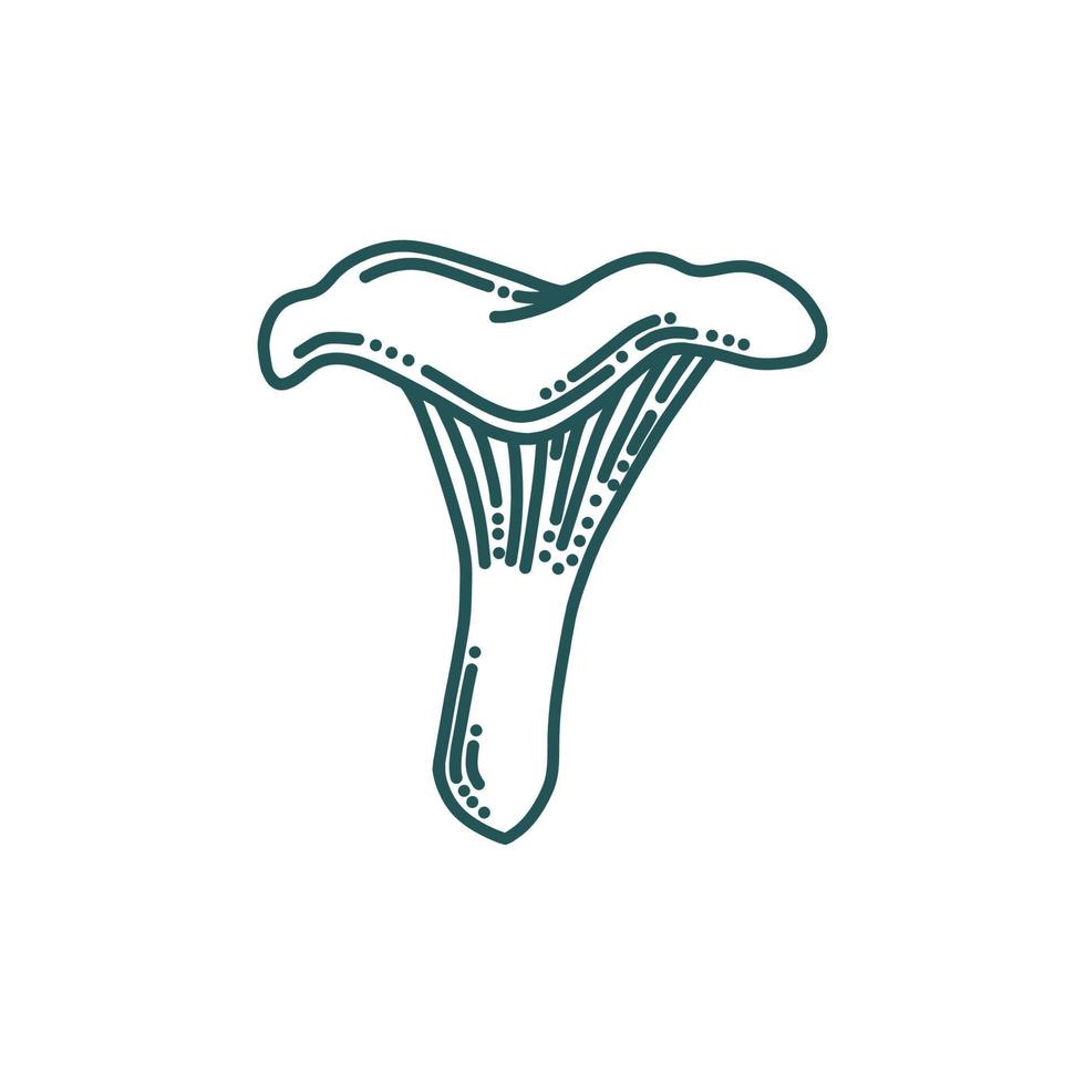 Chanterelle mushroom in doodle style. Forest or farm mushroom. Vector illustration