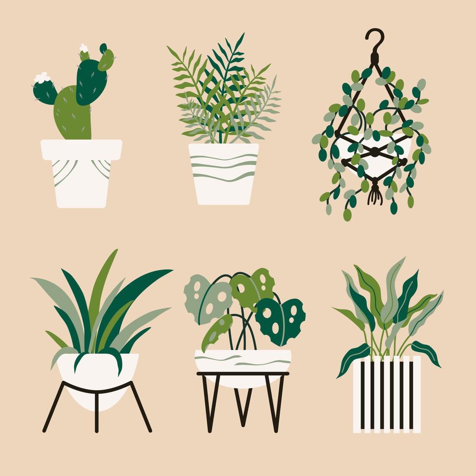 Urban jungle, trendy home decor. Home plants in pots. Nature houseplants, decoration potted houseplant and flower plant planting in pot vector