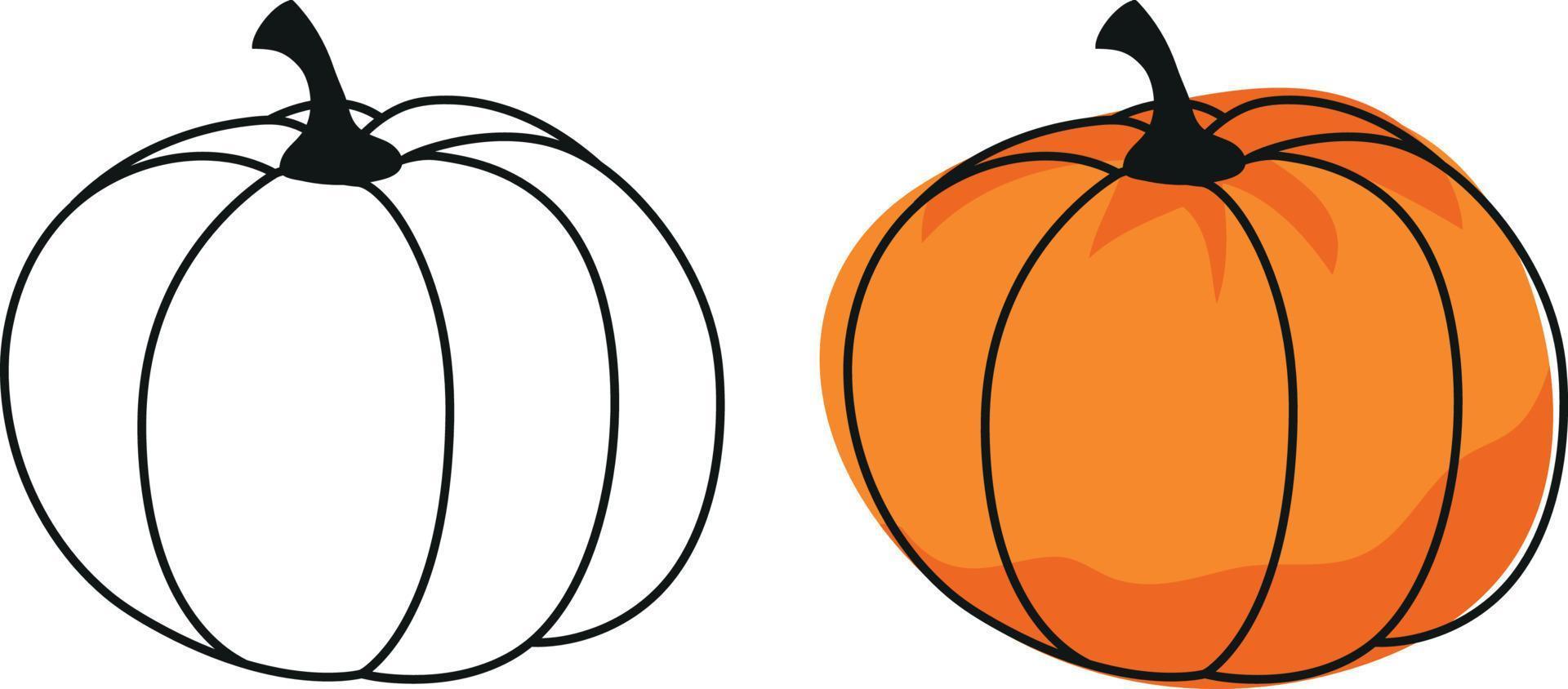 Pumpkin contour drawing, Halloween pumpkin in color and black outline, pumpkin silhouette on a white background vector