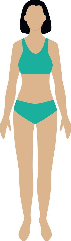 imagen simple del cuerpo femenino, silueta de mujer blanca en ropa interior, mujer delgada joven, medida del cuerpo vector