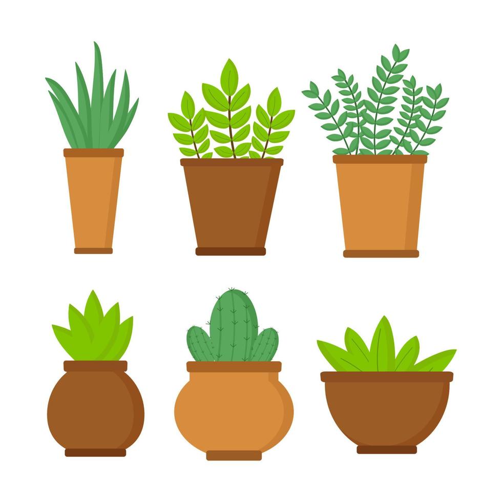 Set of pots with plants on white background. Vector isolated objects for site design about plants or clipart