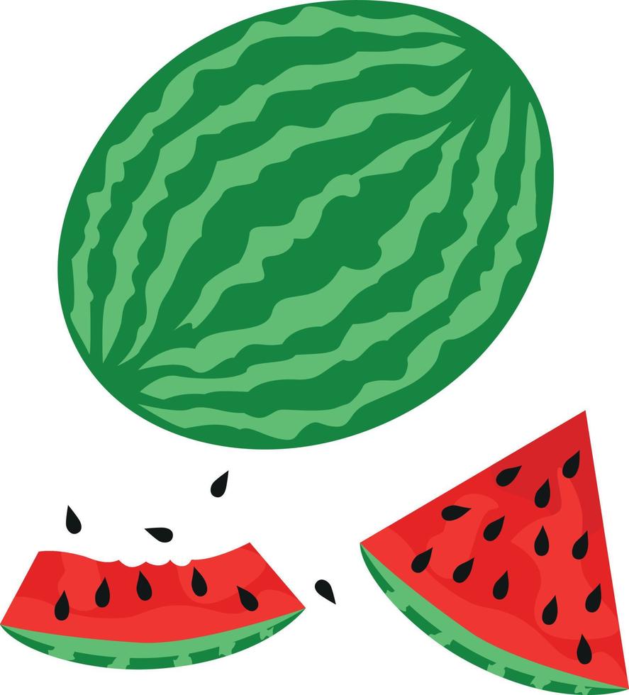 Watermelon illustration flat style, minimalism watermelon slices with seeds vector