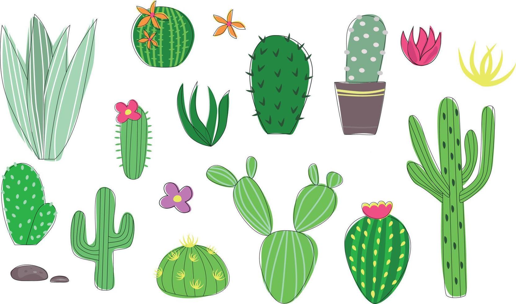 conjunto de cactus mexicanos, suculentas de doodle dibujadas a mano, estilo de dibujos animados minimalista, cactus verdes en flor vector