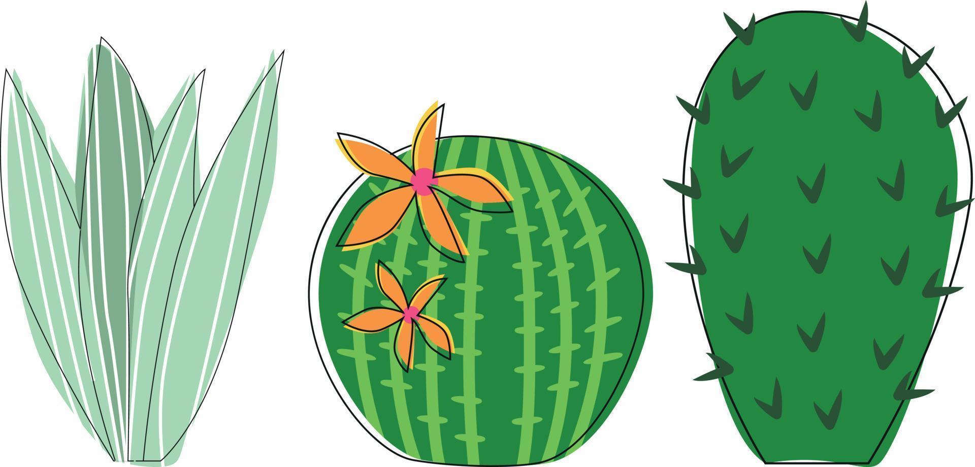 A set of cacti in a flat style, bright colors, blooming succulent on a white background vector
