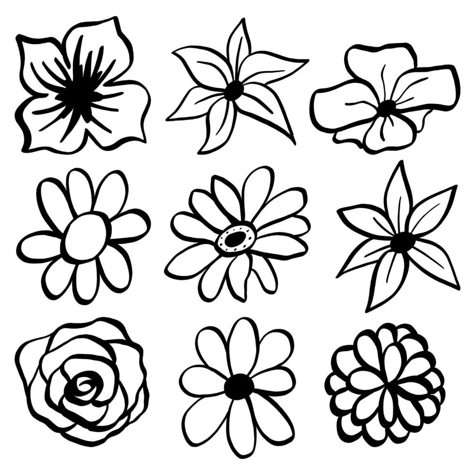 Black line doodle flowers on white background. Vector illustration about nature.