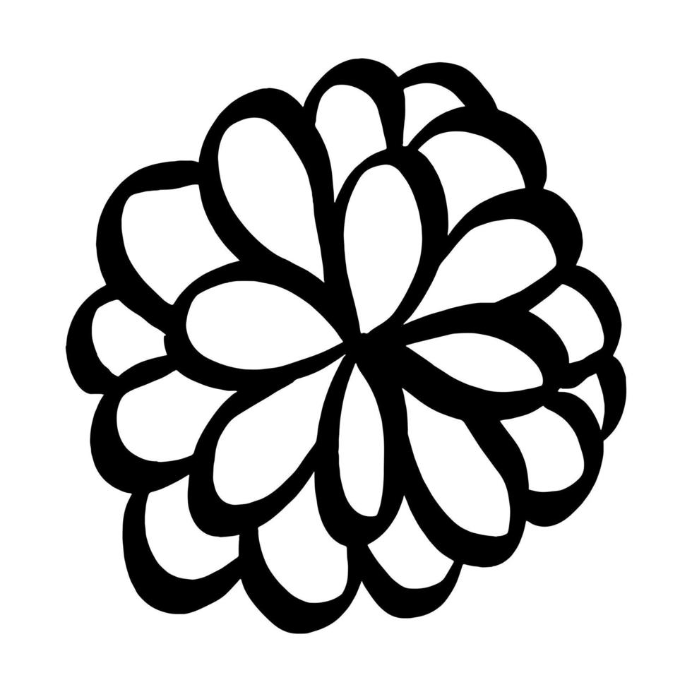 Black line doodle flower on white background. Vector illustration about nature.
