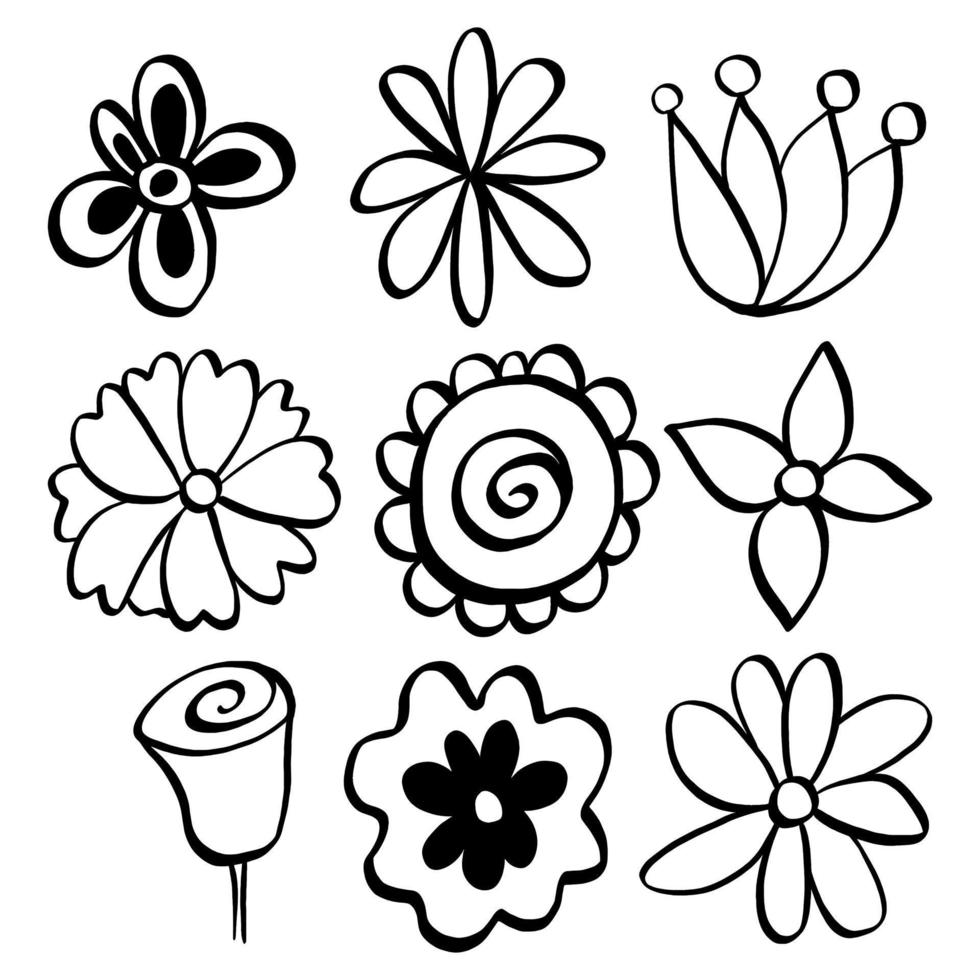 Black line doodle flowers on white background. Vector illustration about nature.