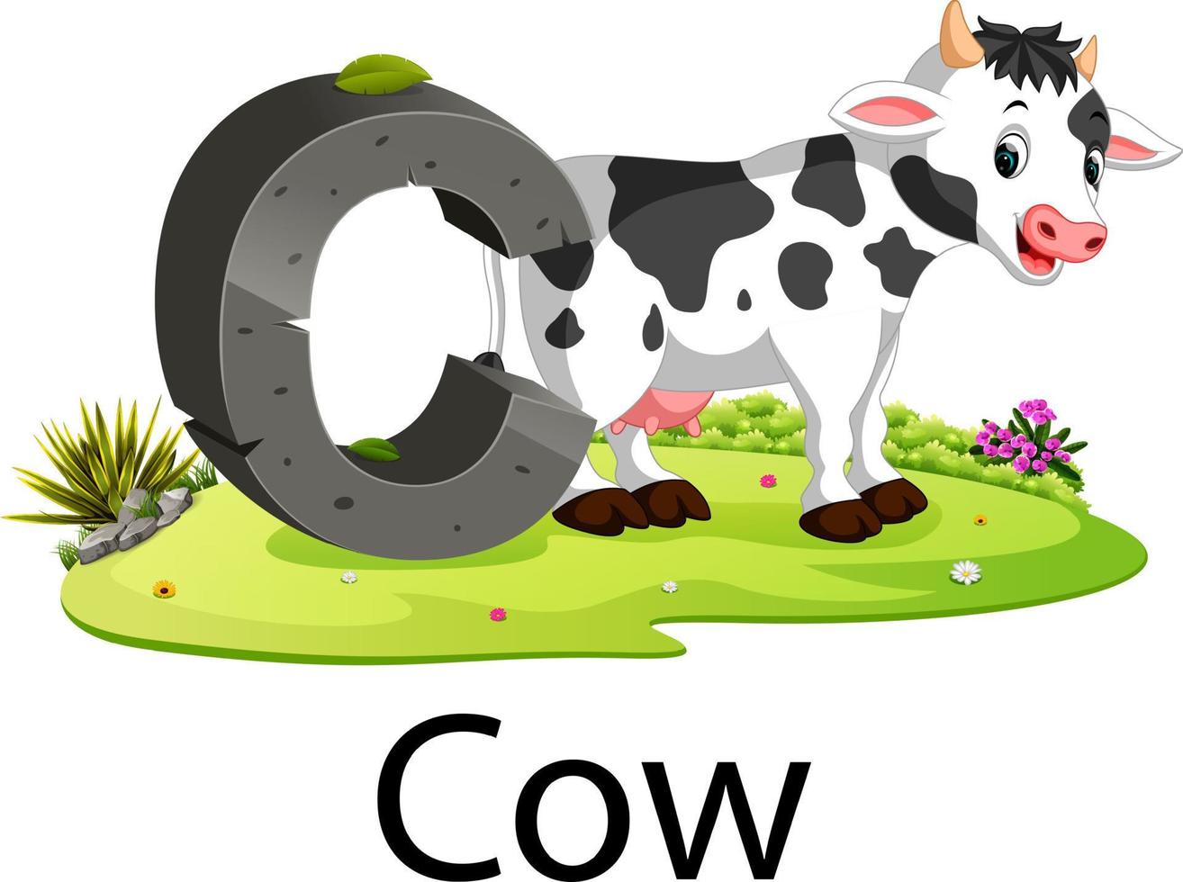 zoo animal alphabet C for cow with the animal beside vector