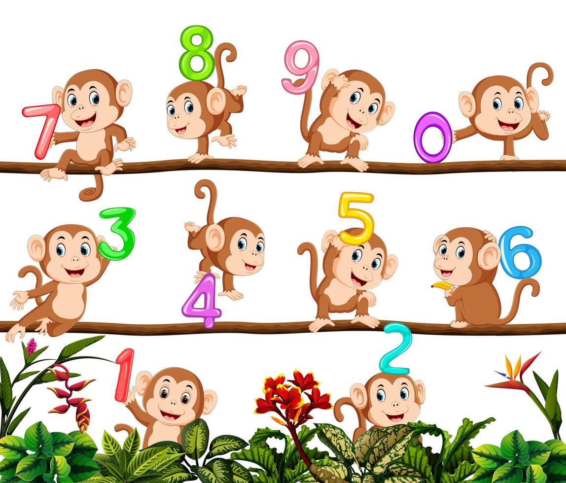 Let's count with monkey vector