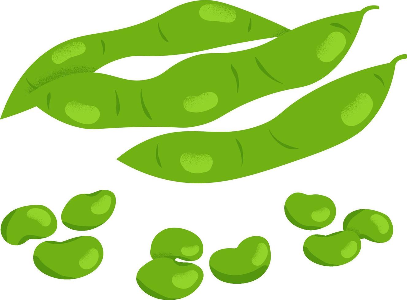 Edamame beans and pods illustration soy product vector