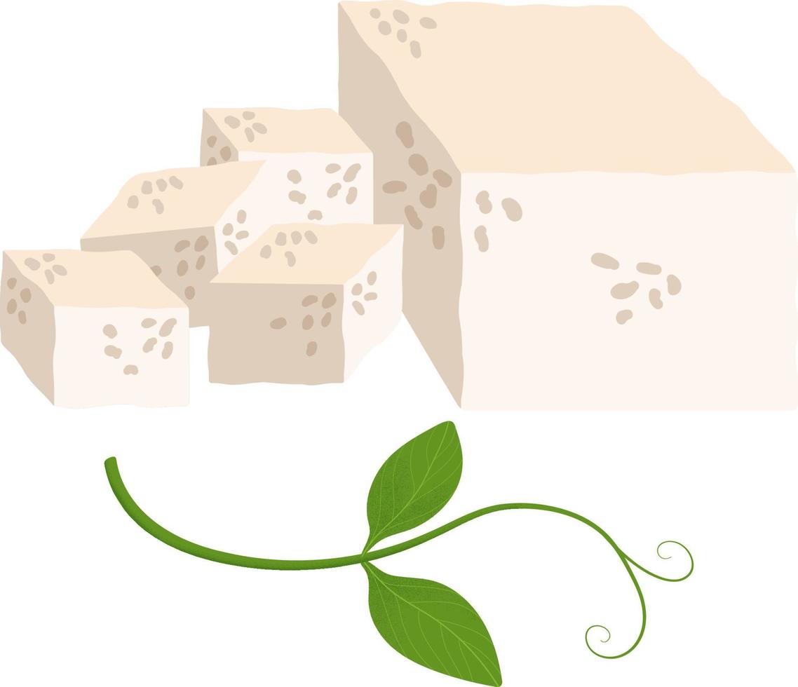 Vector illustration of tofu cubes and block with soy plant leaves