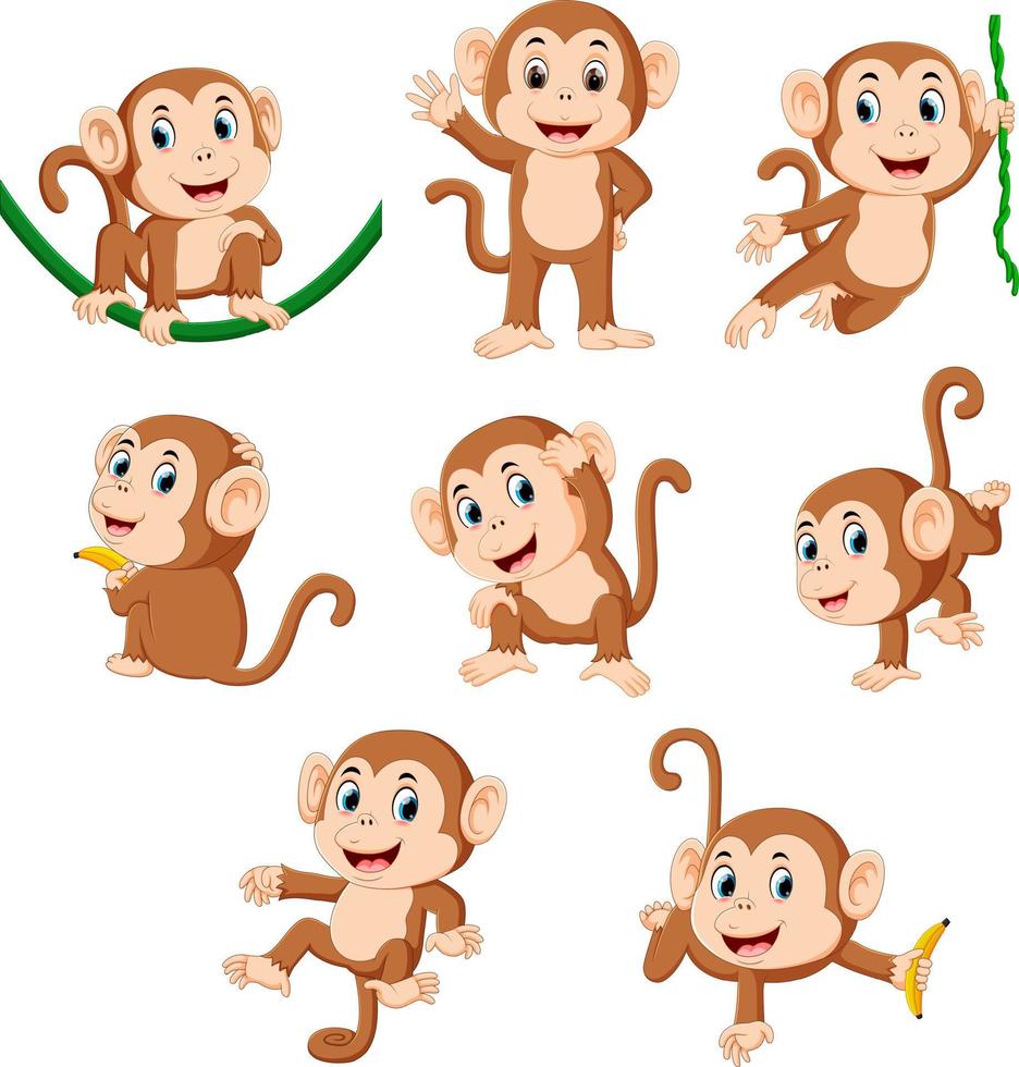 the collection of the monkey playing on the green rope with the different posing vector