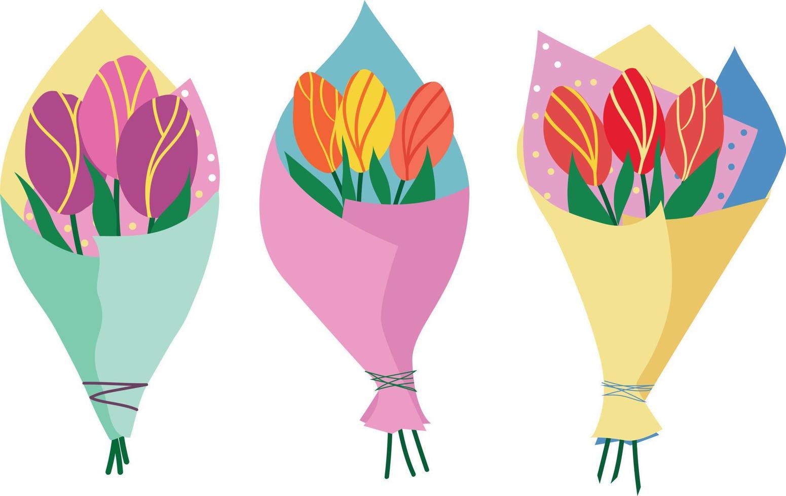 Bouquets of tulips in a wrapper, vibrant spring flowers illustration flat style vector