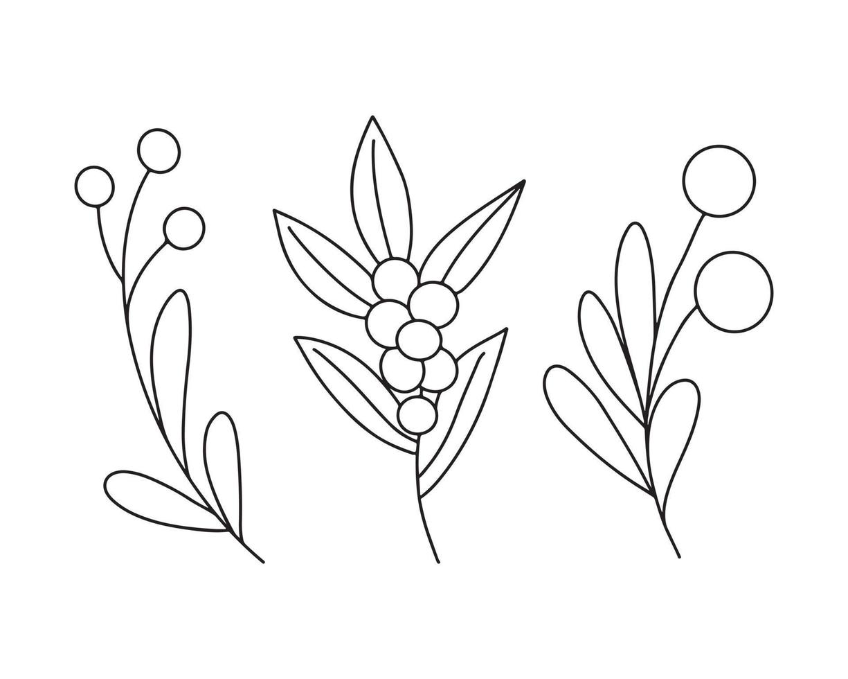 Set of Hand drawn minimalist branch with berries and leaves. Black contour line outline vector collection in minimal doodle style. Winter holidays floral clip art