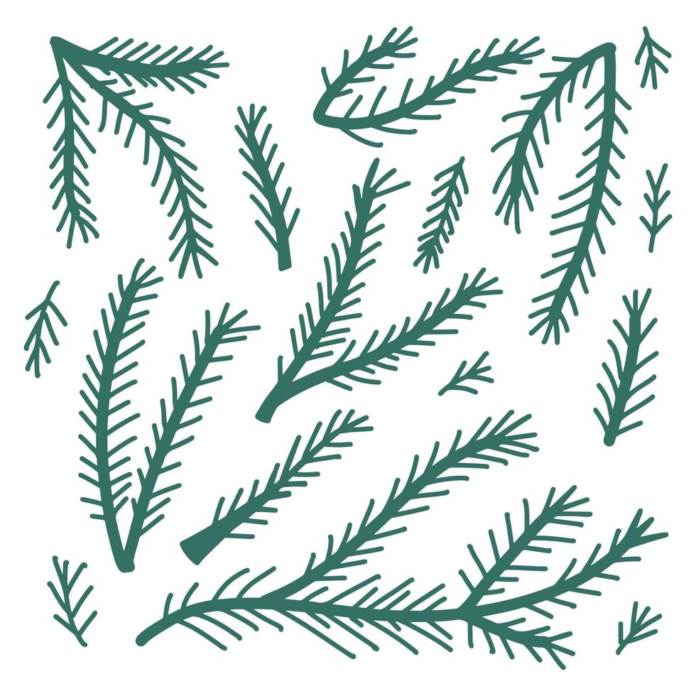 Simple hand drawn fir tree branch Christmas floral doodle set. Childish drawing of Xmas tree, vector collection isolated on white background.
