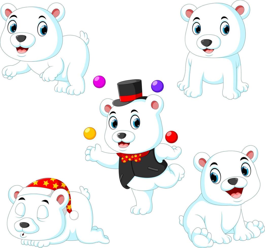 la colección del oso de circo blanco jugando con la pelota con las diferentes poses vector