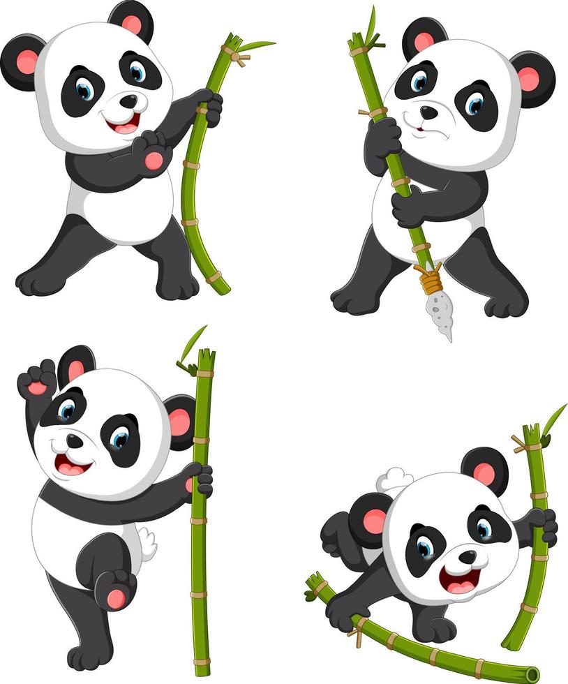 la linda colección de pandas jugando con el bambú verde vector