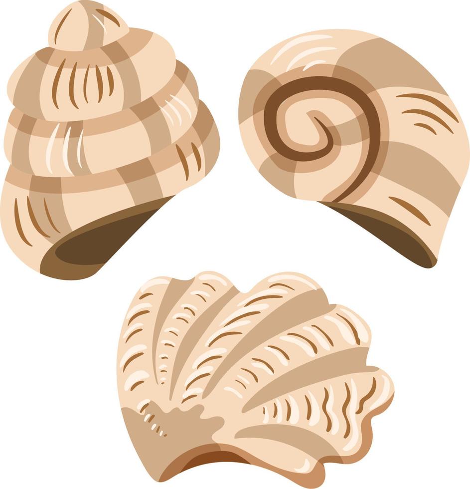 Set of three cartoon style seashells isolated on white background vector