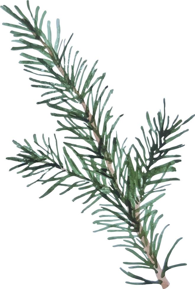 árbol de navidad rama verde acuarela dibujado a mano elemento aislado vector