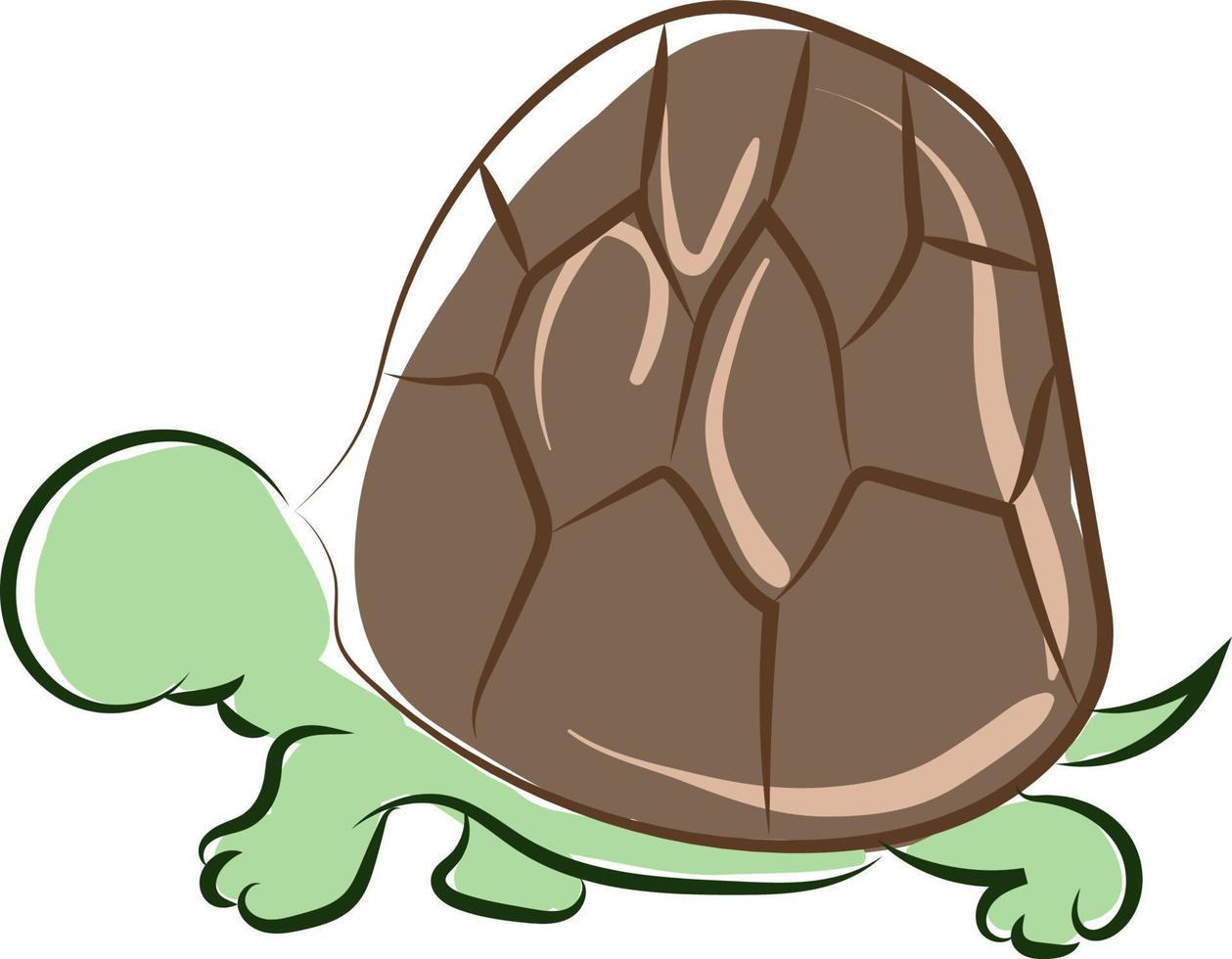 Green turtle, illustration, vector on white background.