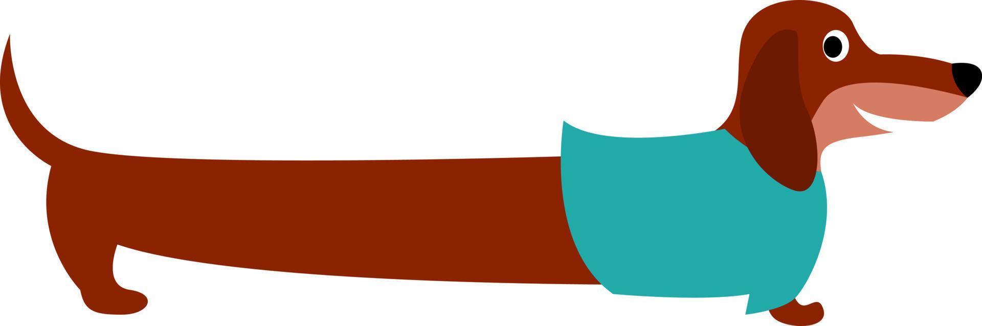 Long dog, illustration, vector on white background.