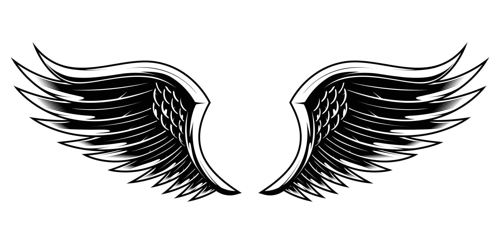 The Wings of Angel Black and White Vector