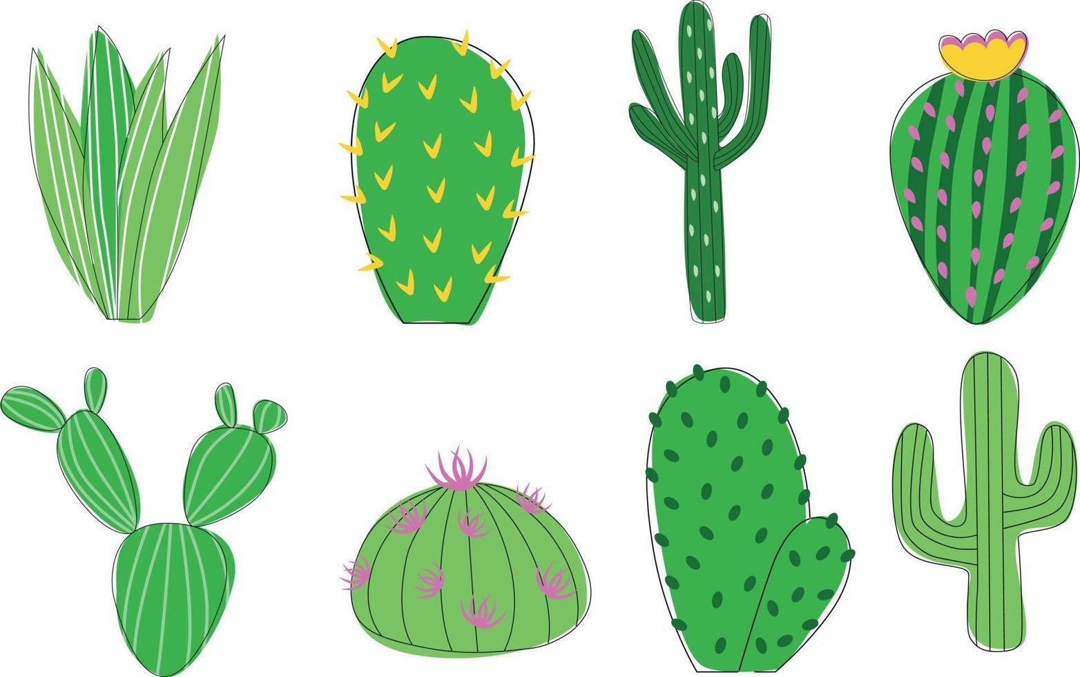 Set of cacti vector illustration, flat style cactus and succulents on white background