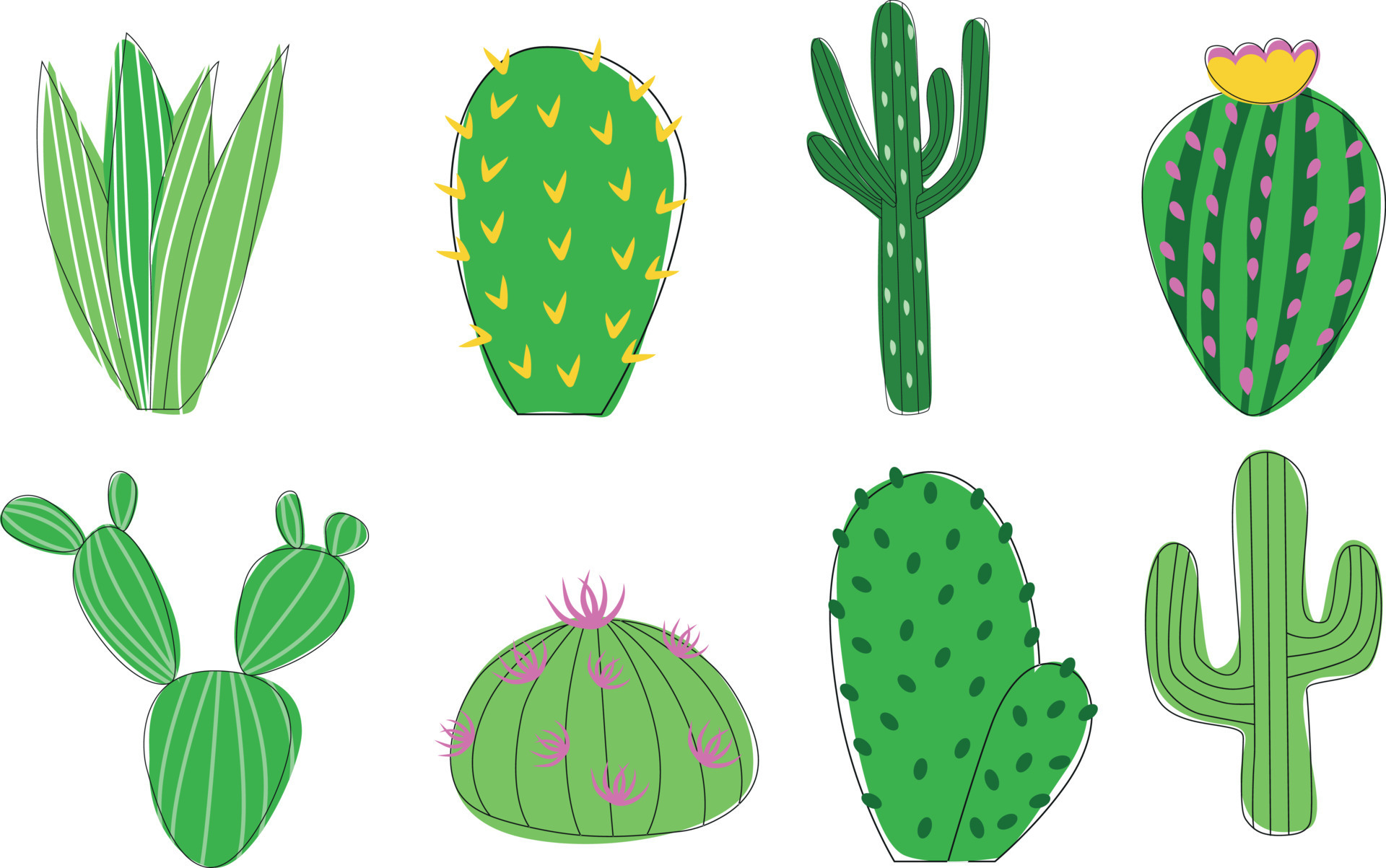 Cactus set vector design illustration isolated on white background 1844289  Vector Art at Vecteezy