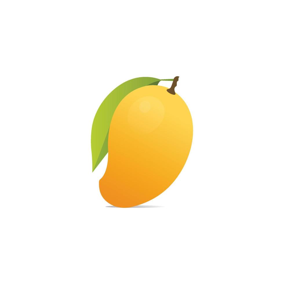 Yellow Mango fruit vector isolated