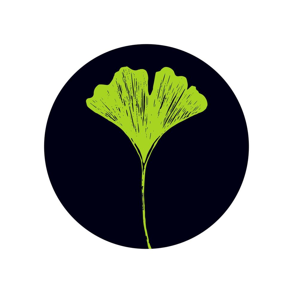 Ginkgo biloba graceful leaf on a round dark background. Green leaf of useful ginko for medicine packaging, icon or logo vector