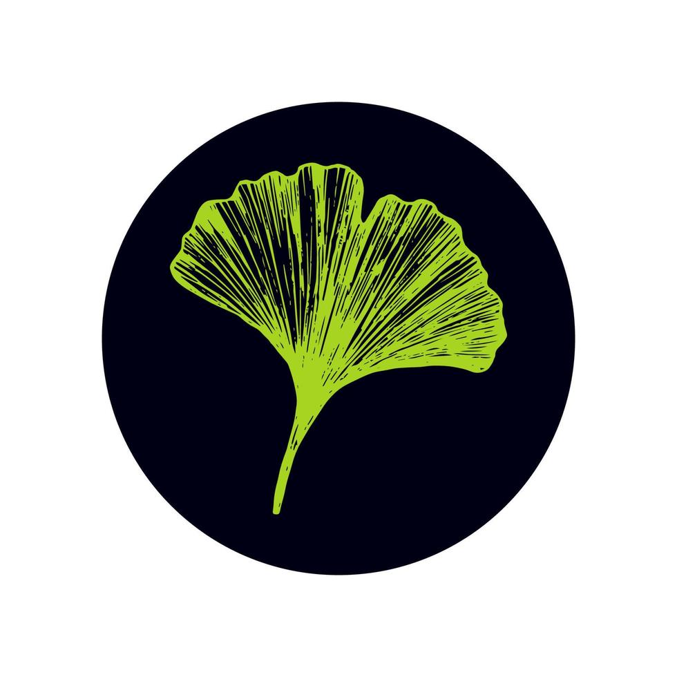 Vector illustration with ginkgo biloba leaf on a round dark background. Green leaf of useful ginko for medicine packaging, icon or logo