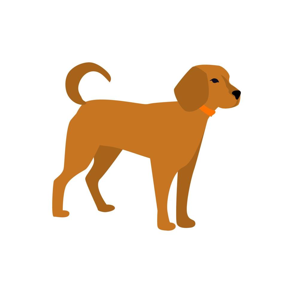 Puppy young dog. Cute dog in a collar vector