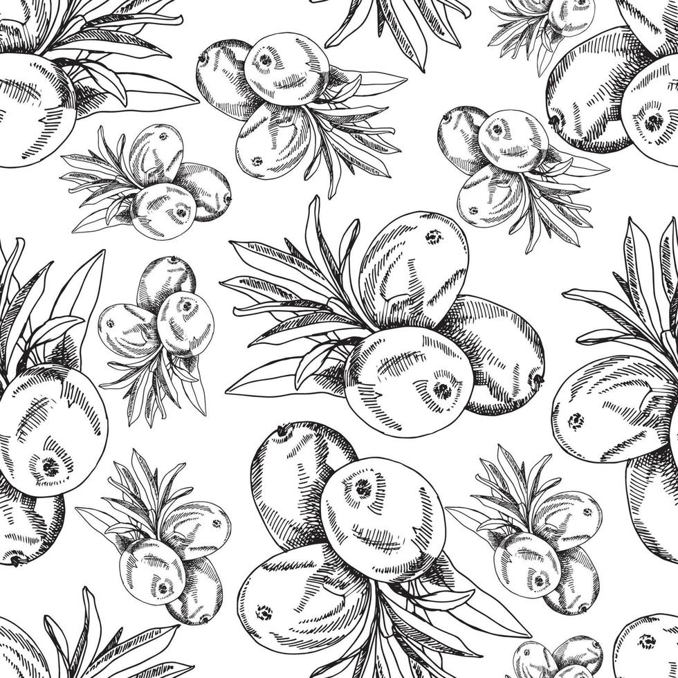 Hand drawn vector sea buckthorn branches pattern. Wild berries graphic textile pattern. Forest berries sketch illustration.