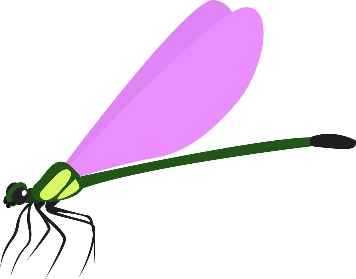 Flying dragonfly, illustration, vector on white background.