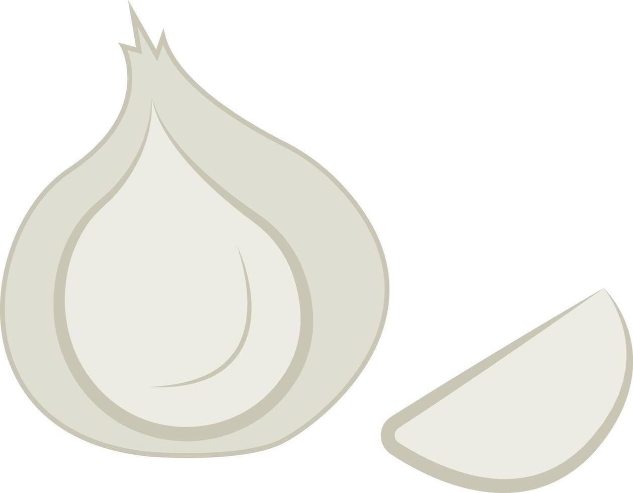 Slice of garlic, illustration, vector on white background.