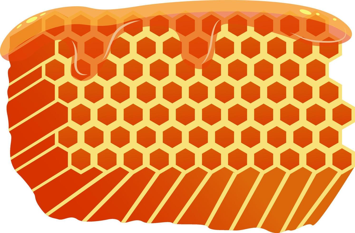 miel de abeja, ilustración, vector sobre fondo blanco.